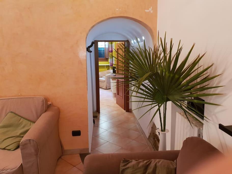 Charming Garden In Apartamento *