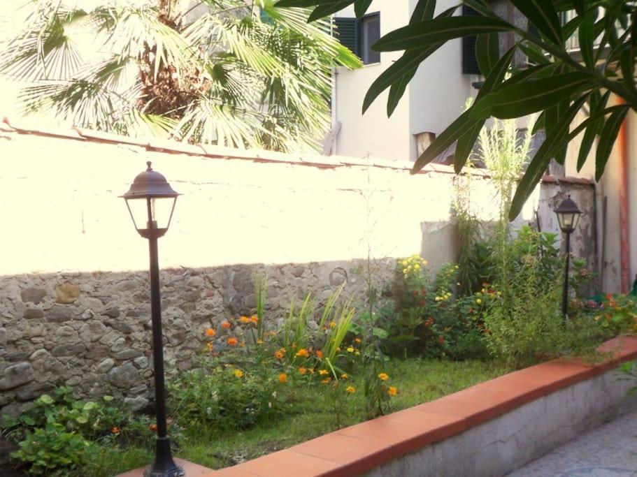 Charming Garden In Apartamento