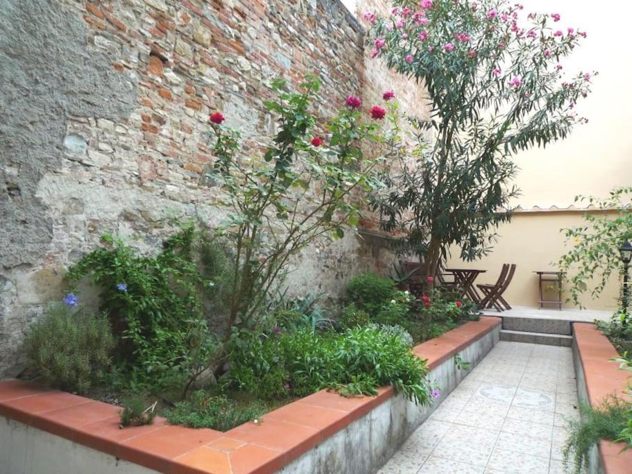 Charming Garden In