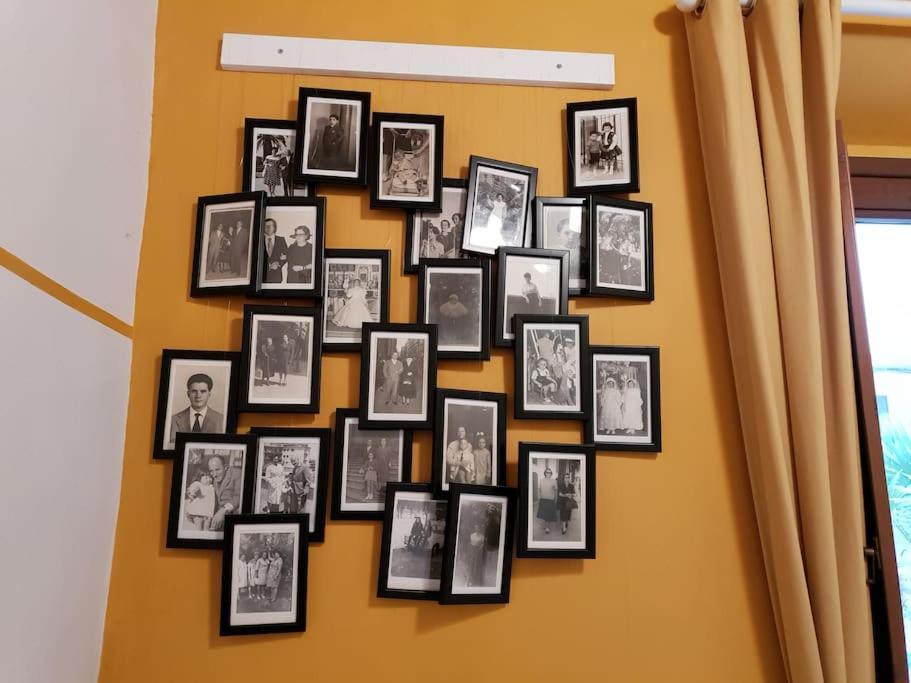 Charming Garden In Apartamento Florencia